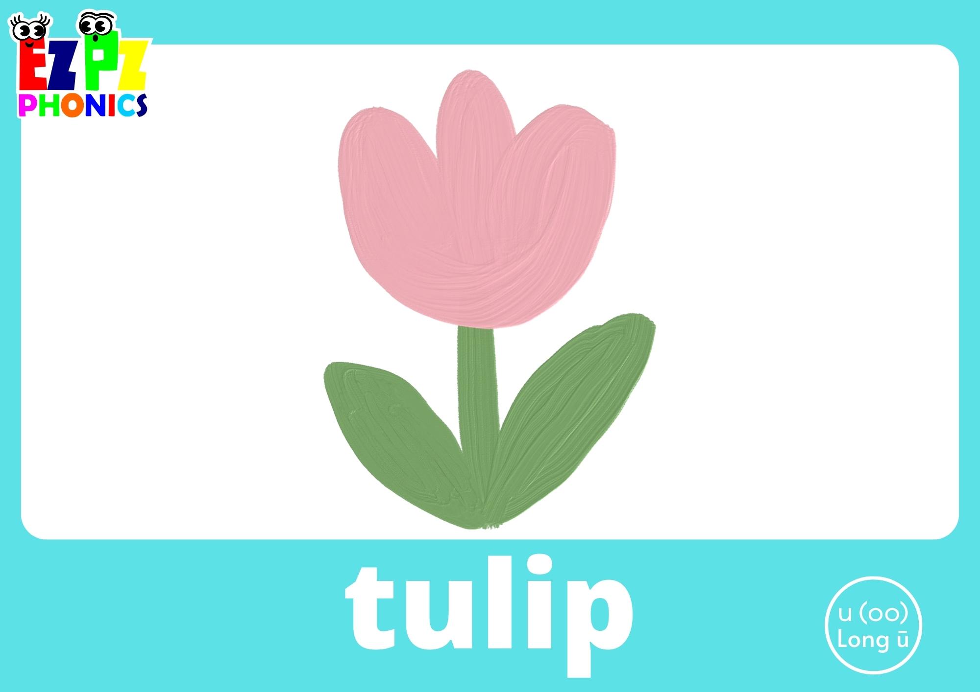 U Words Long U (oo) Vowel Sound Flashcards with Images and Words Printable PDF or View Online For Teachers and Parents to Teach Kindergarten and Preschool Children